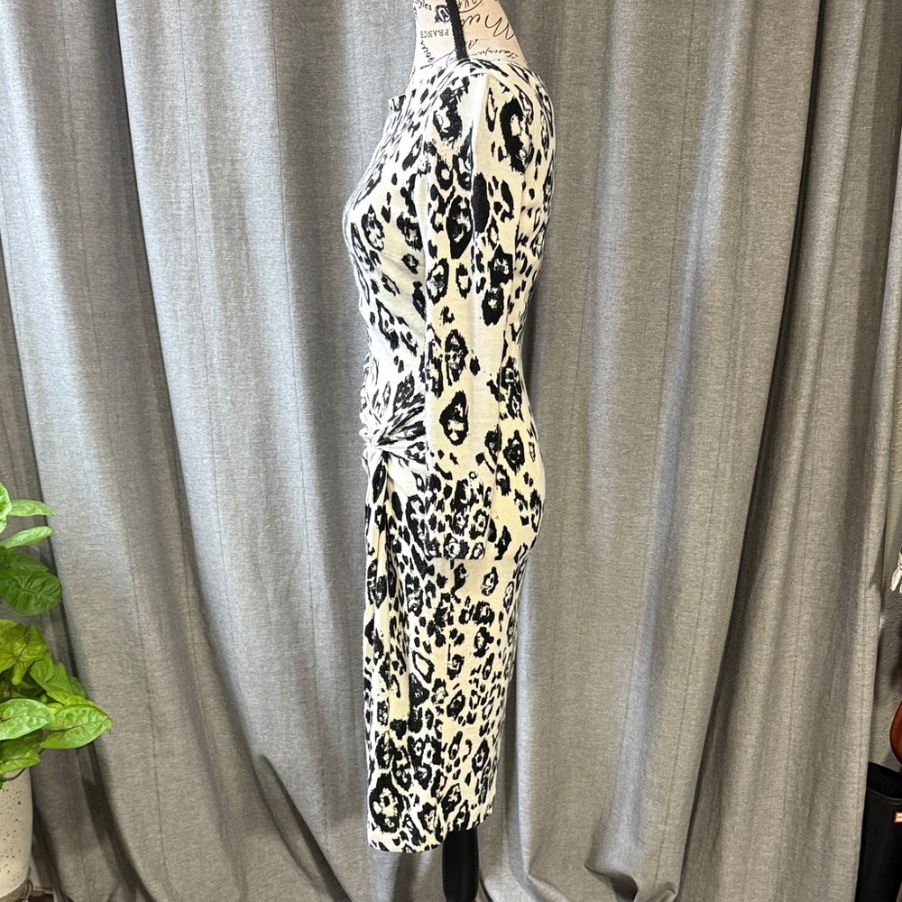 Leopard Print Long Sleeve Dress - Picture 5 of 11